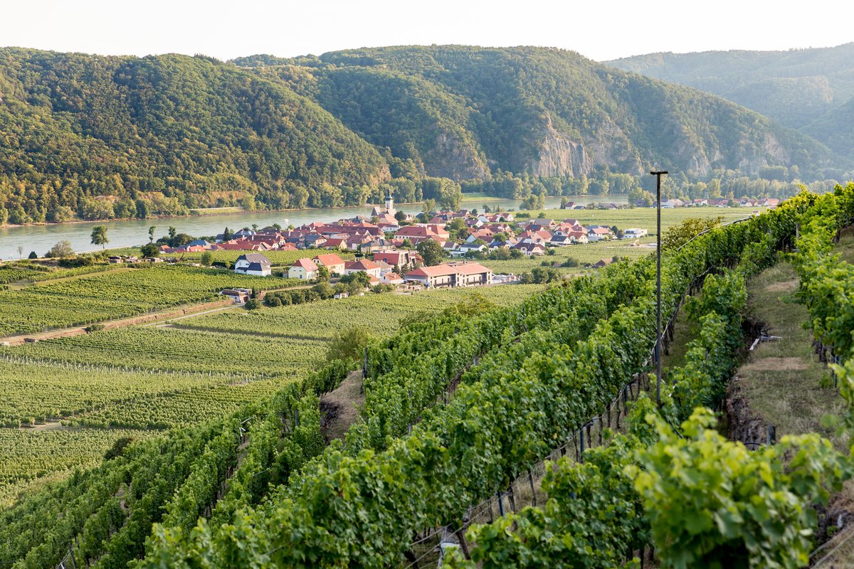 Vinea Wachau Nobilis Districtus