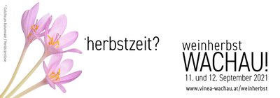 Wachauer Weinherbst