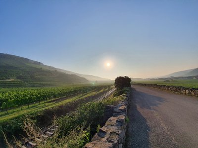 Weinerlebnis Loibenberg 20. Juni 14 - 18 Uhr